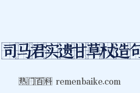 司马君实遗甘草杖造句是什么意思的图片